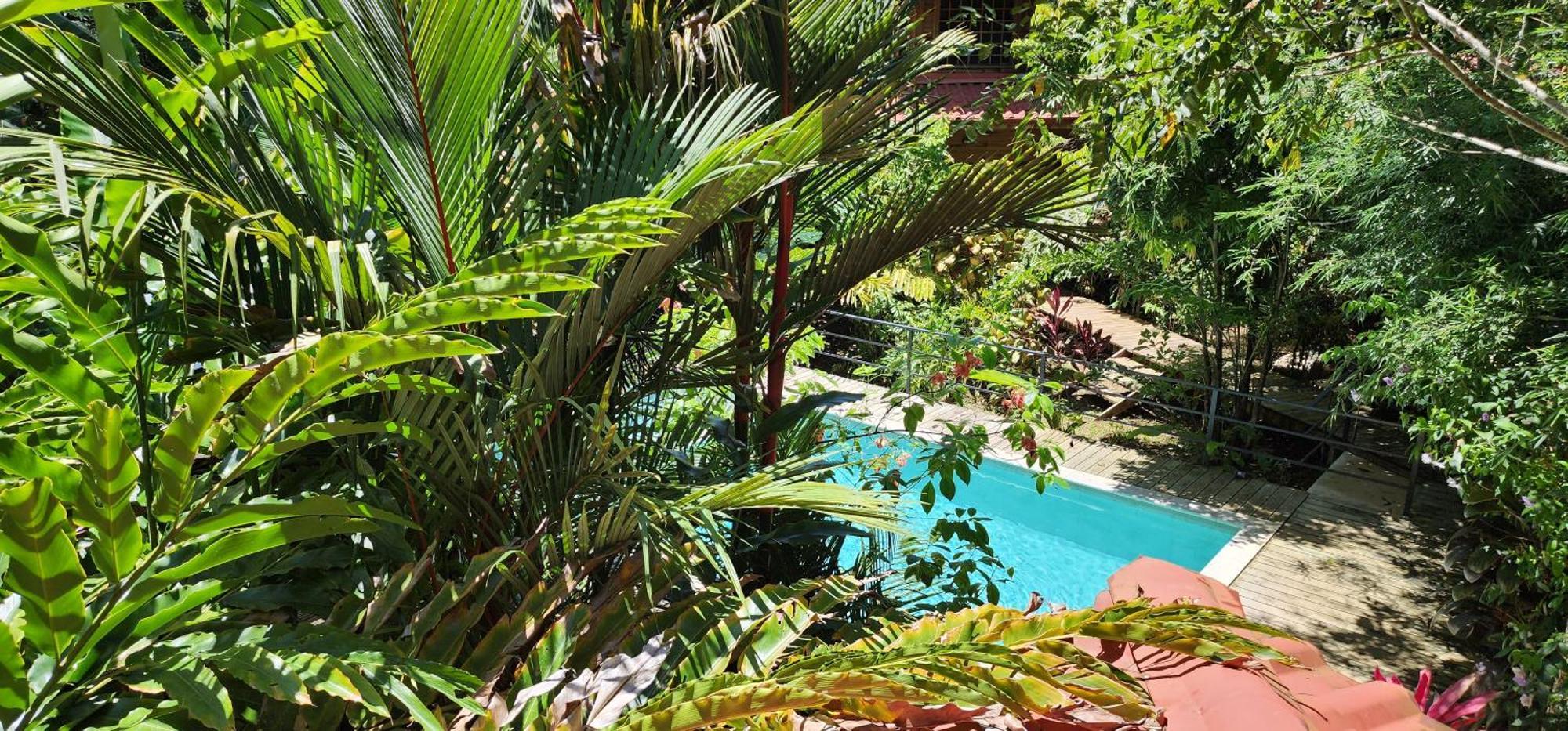 Boutique Hotel Y Spa Tangara Azul Ojochal Ngoại thất bức ảnh