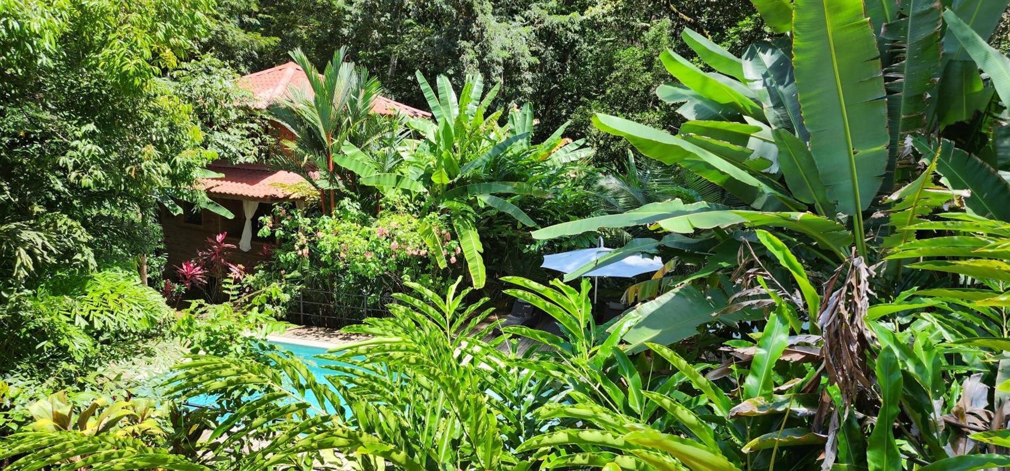 Boutique Hotel Y Spa Tangara Azul Ojochal Ngoại thất bức ảnh